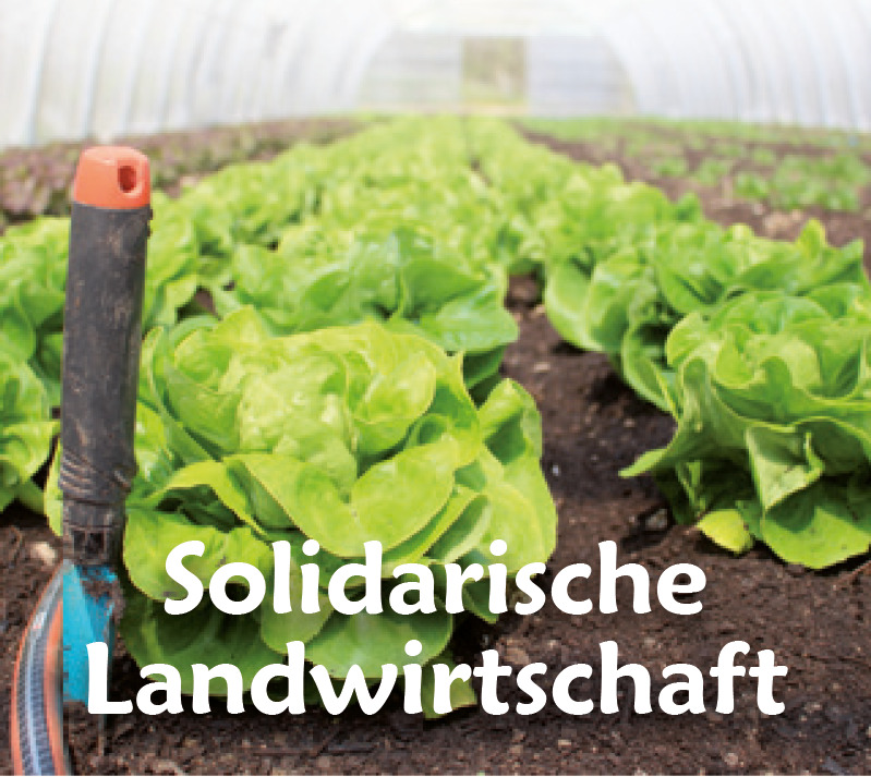 Solidarische-Landwirtschaft